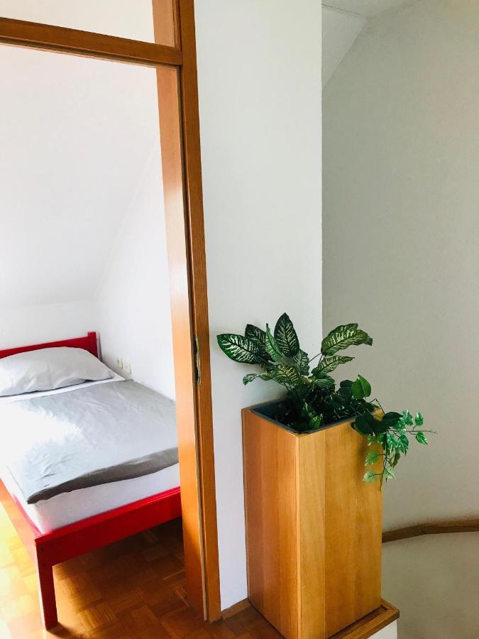 Extraordinary Apartment In Banovci Вержей Экстерьер фото